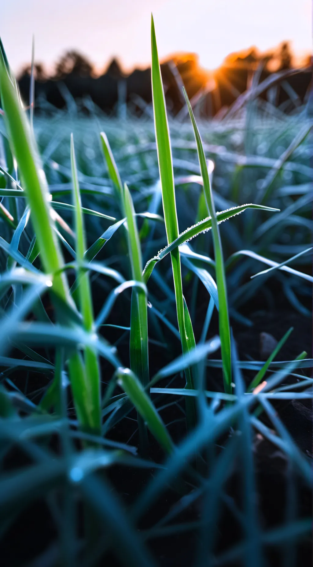 ai character: Grass background