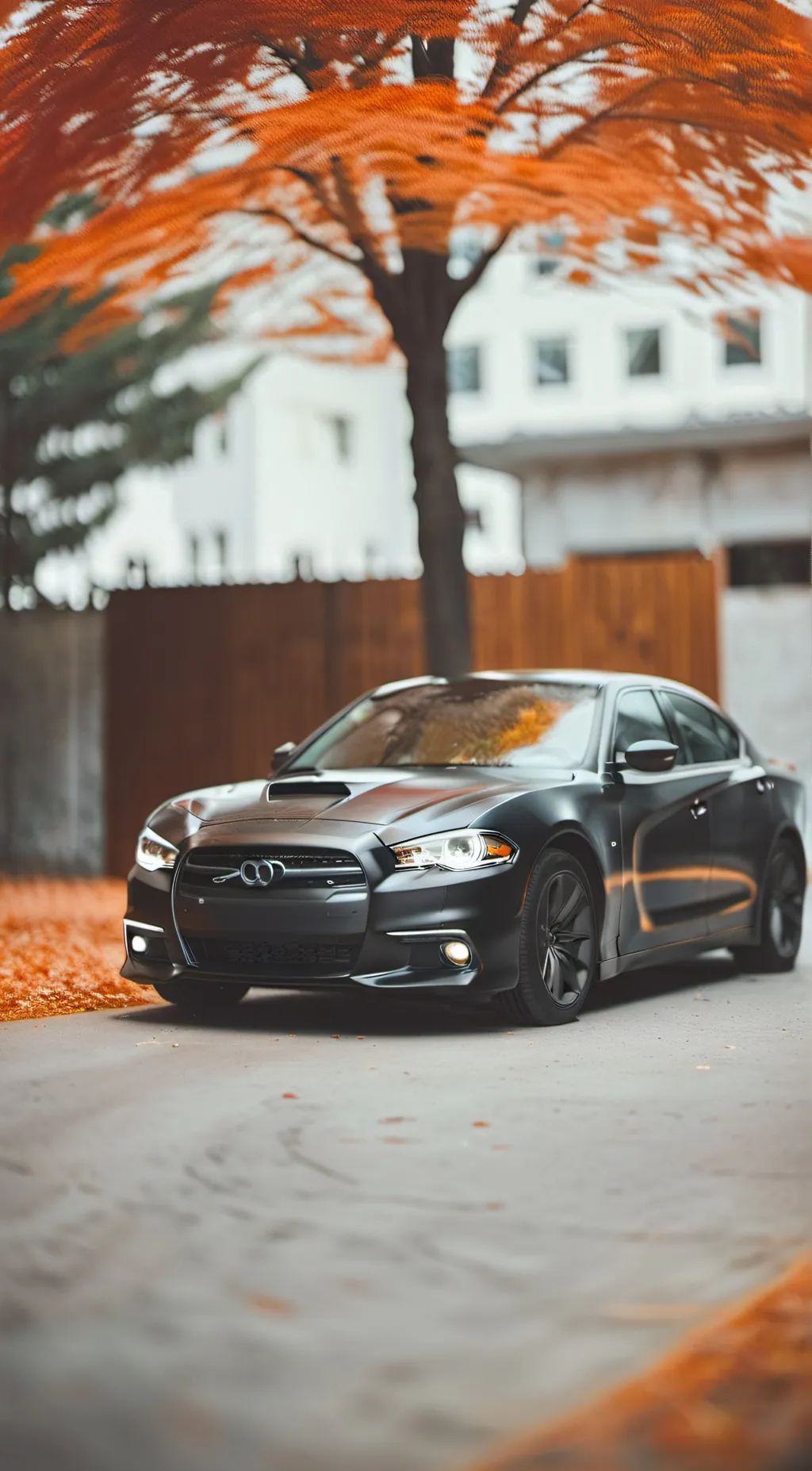 ai character: black charger 2024 background