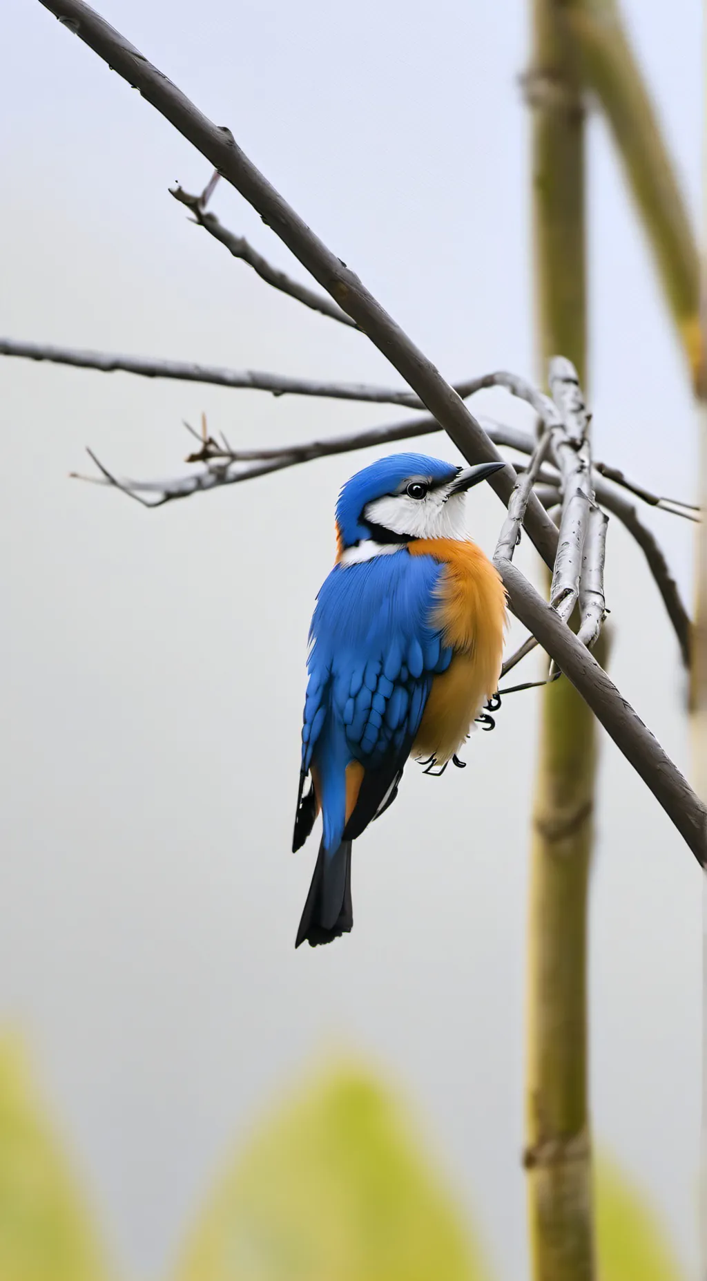 ai character: Luna background