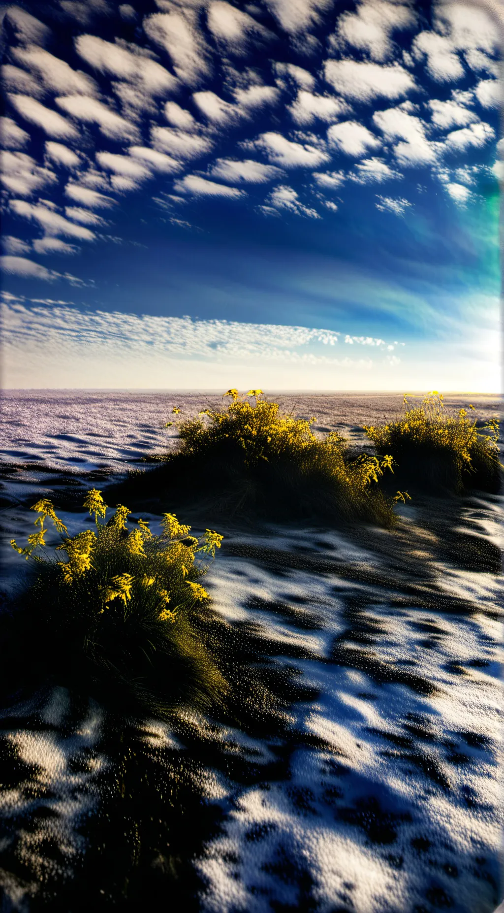 ai character: MHA background