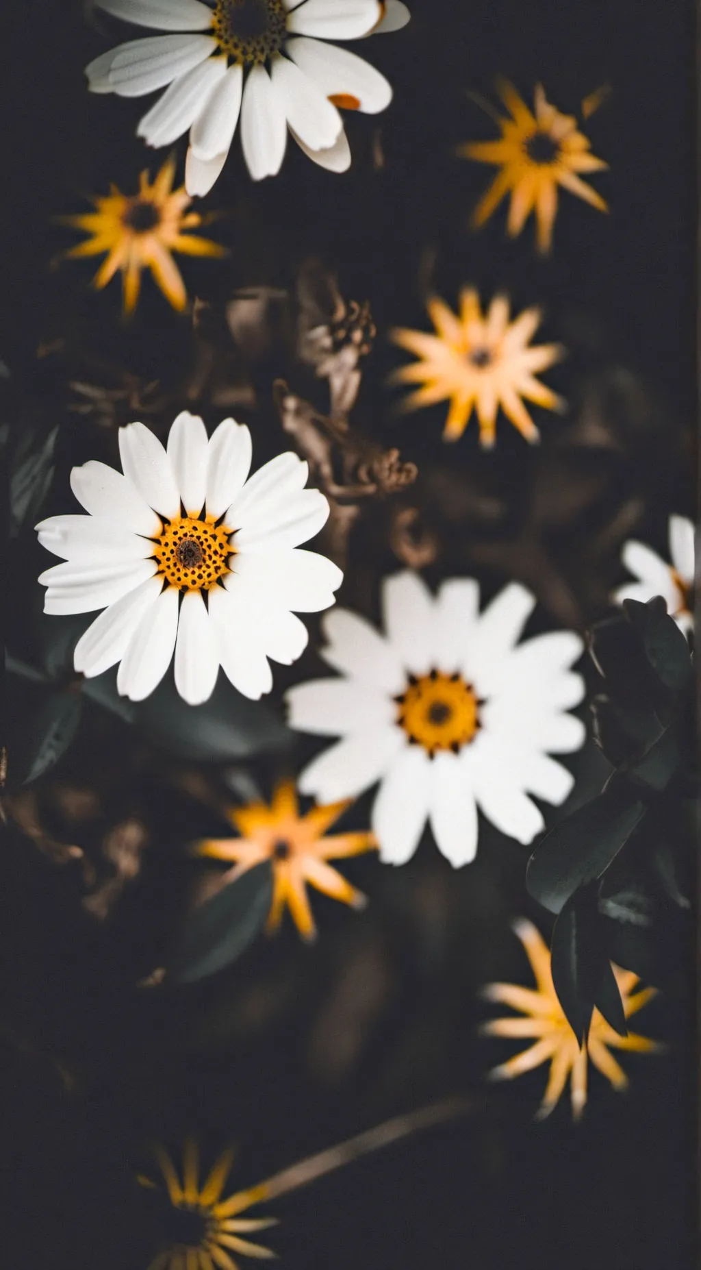 ai character: Creepypasta x cod background