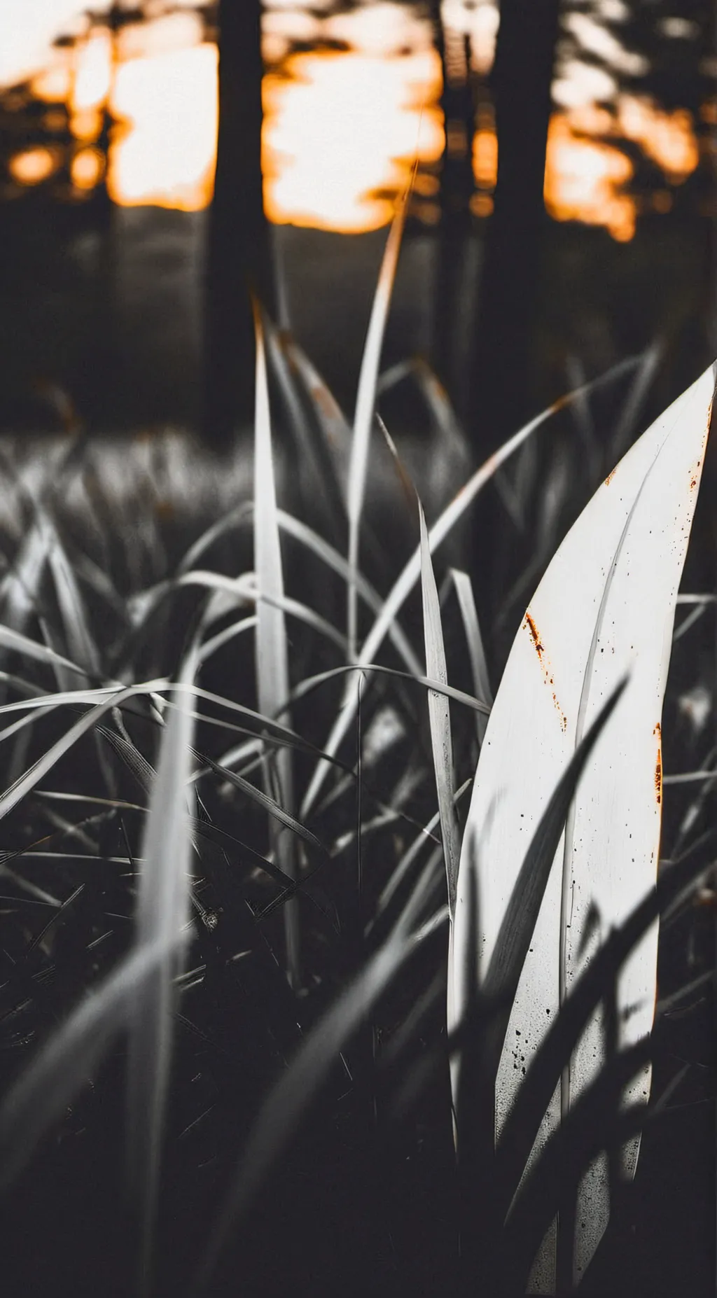 ai character: Grass background