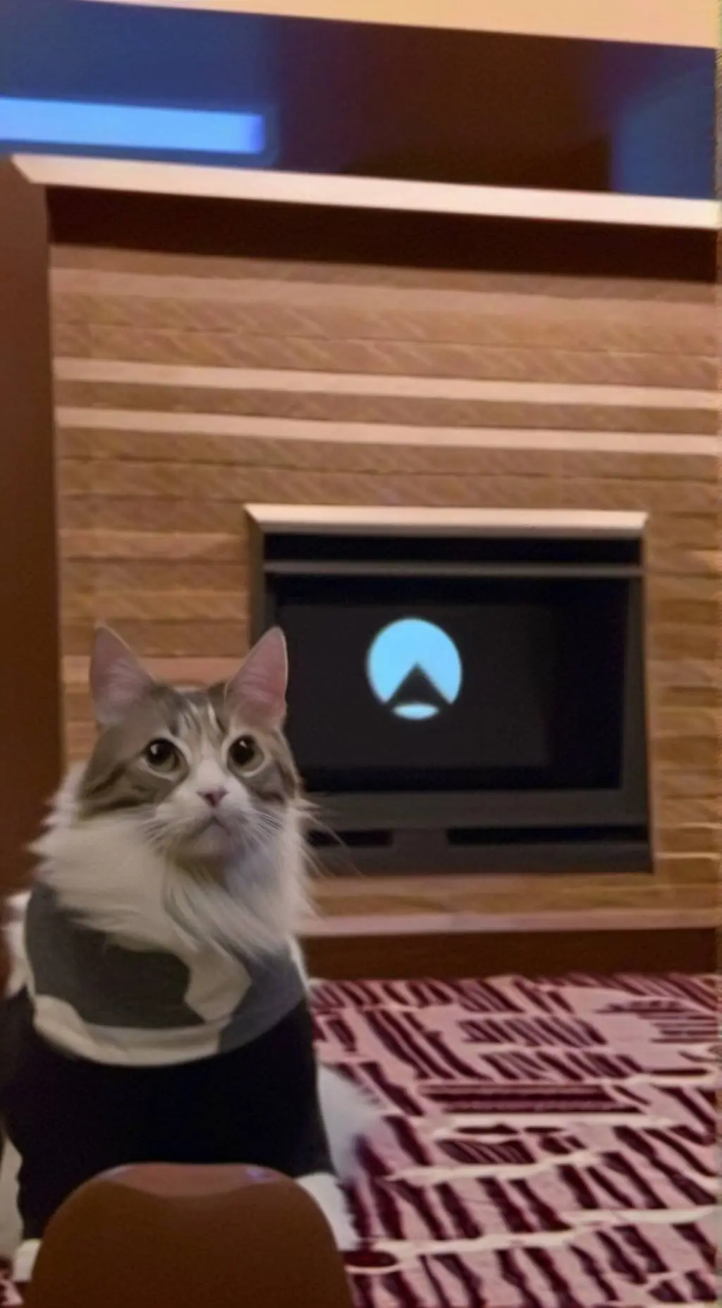 ai character: bary background