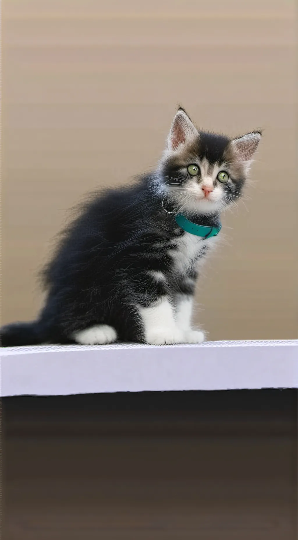 ai character: Daisy background