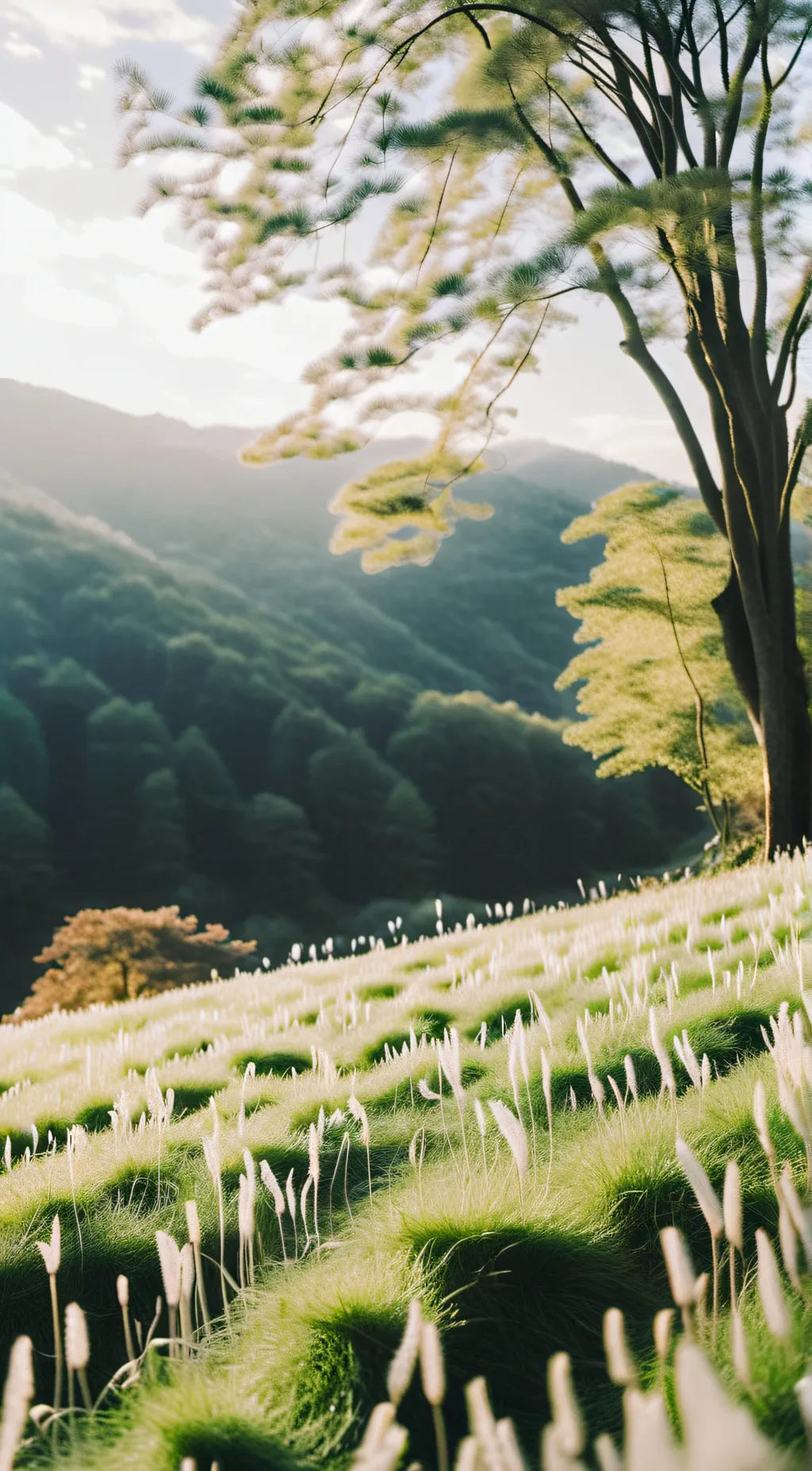 Talkie AI - Chat with Touch some grass 💀