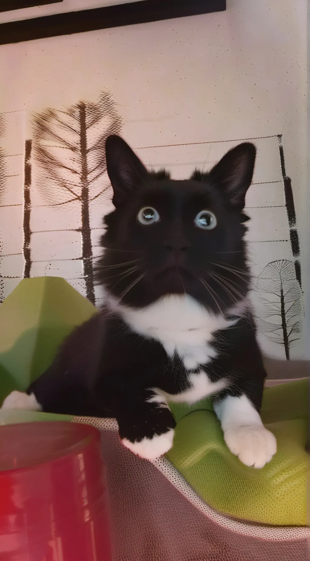 ai character: oreo   background