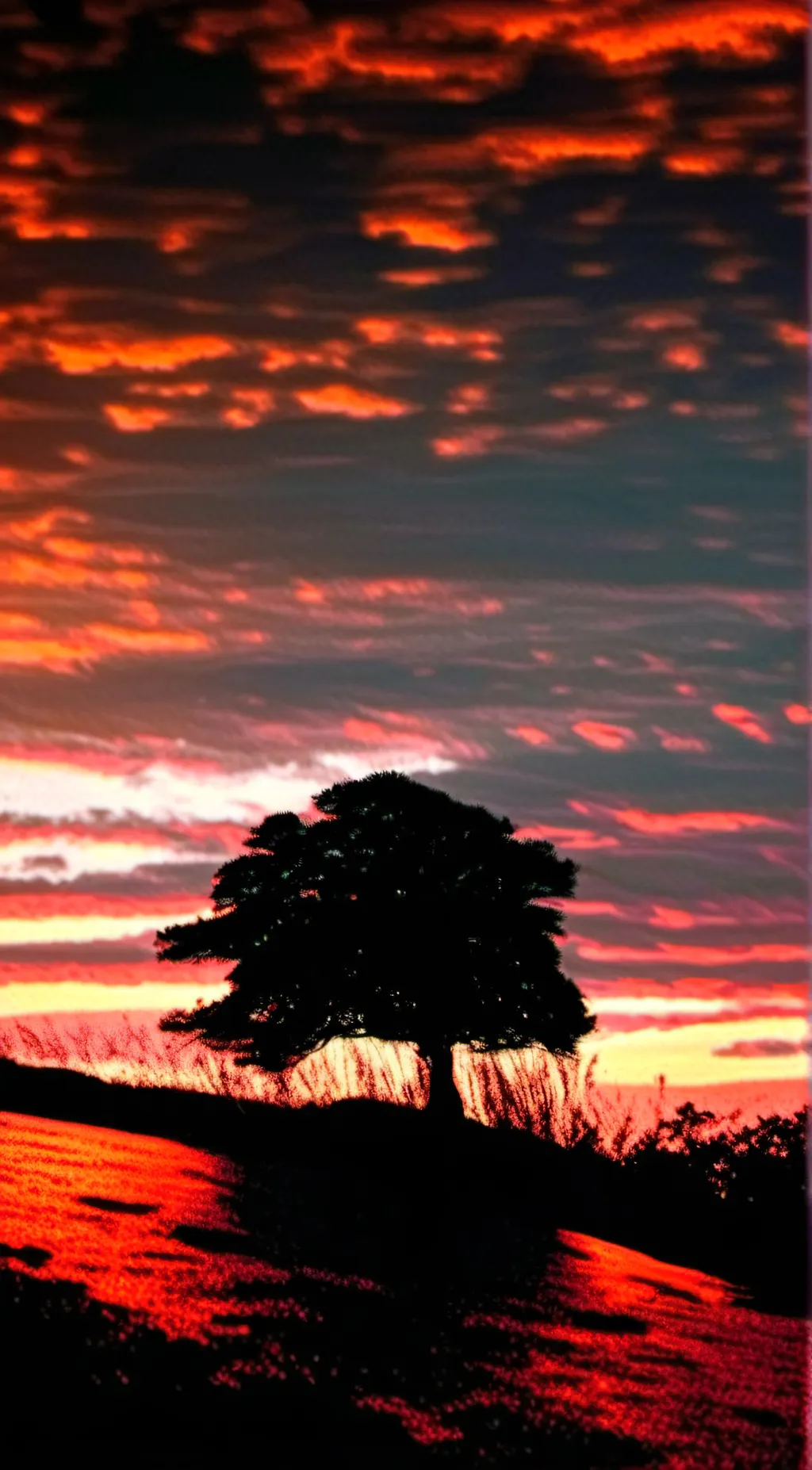 ai character: Sunset background