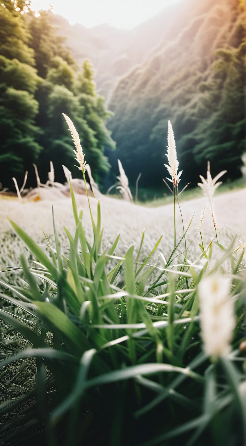 ai character: grass background