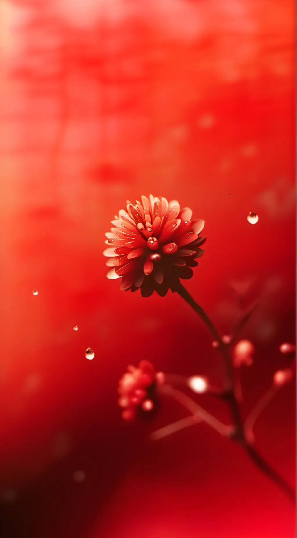 ai character: ❤️LUV-O-METER❤️ background