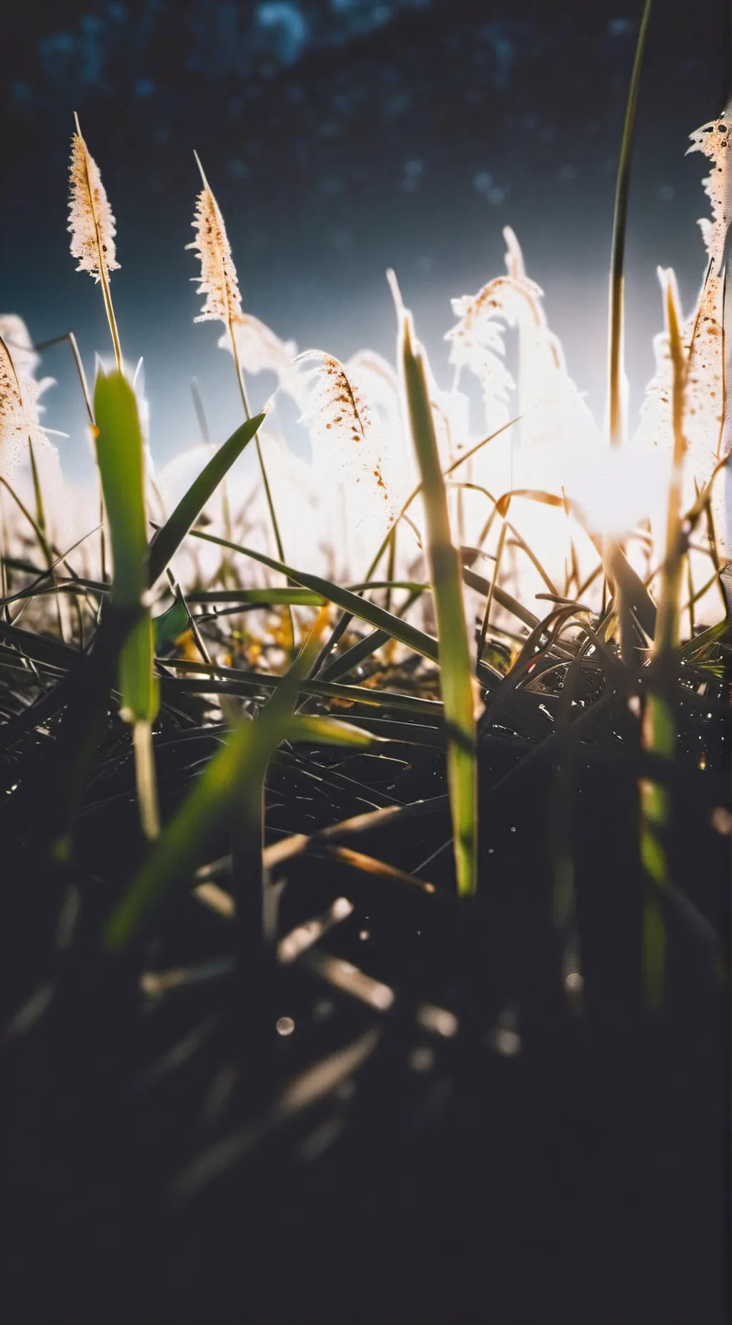 ai character: GO TOUCH GRASS background