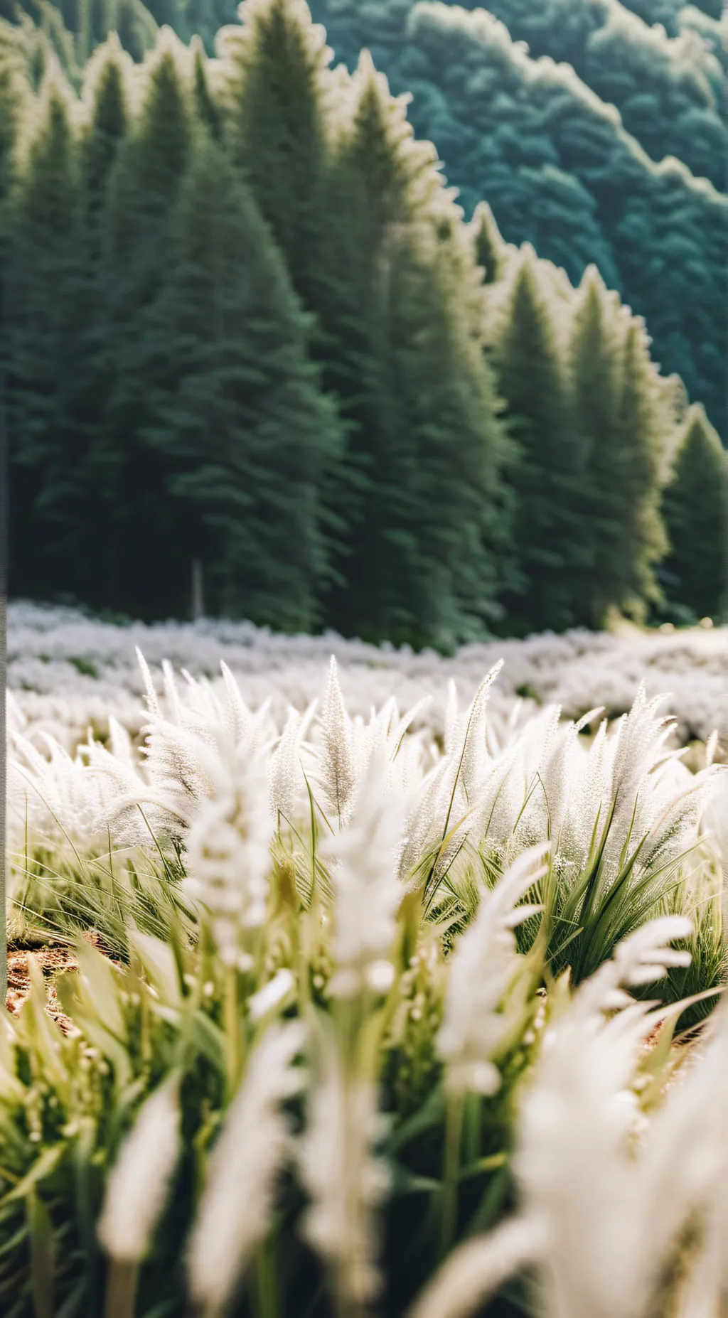 ai character: grass background