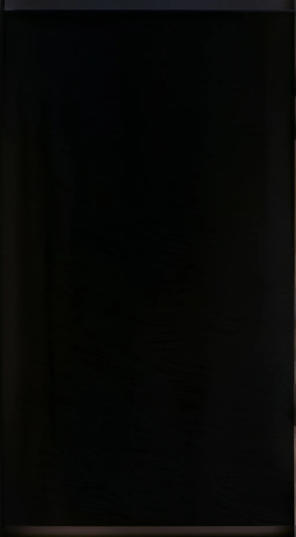 ai character: Luci and Alastor background