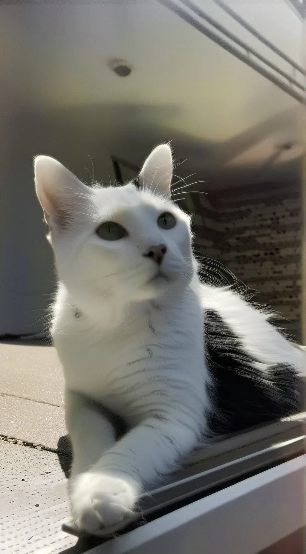 ai character: Voxs Abilitys?!  background