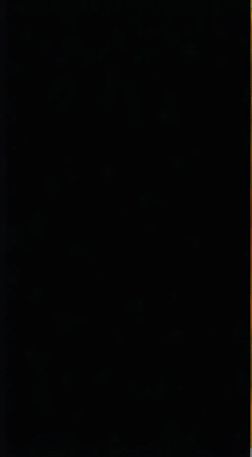 ai character: Number2 pro hero background