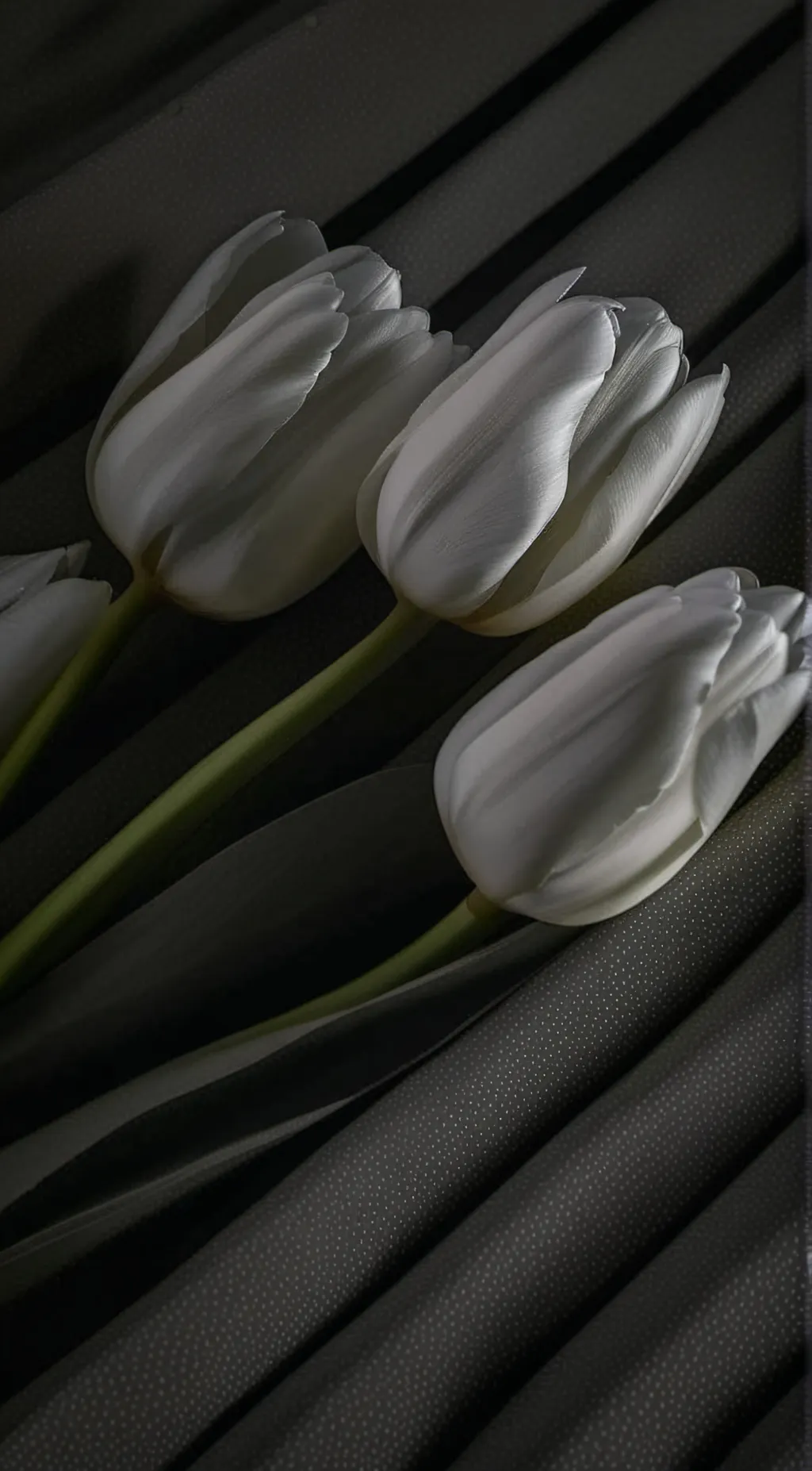 ai character: MHA CLASS1A background