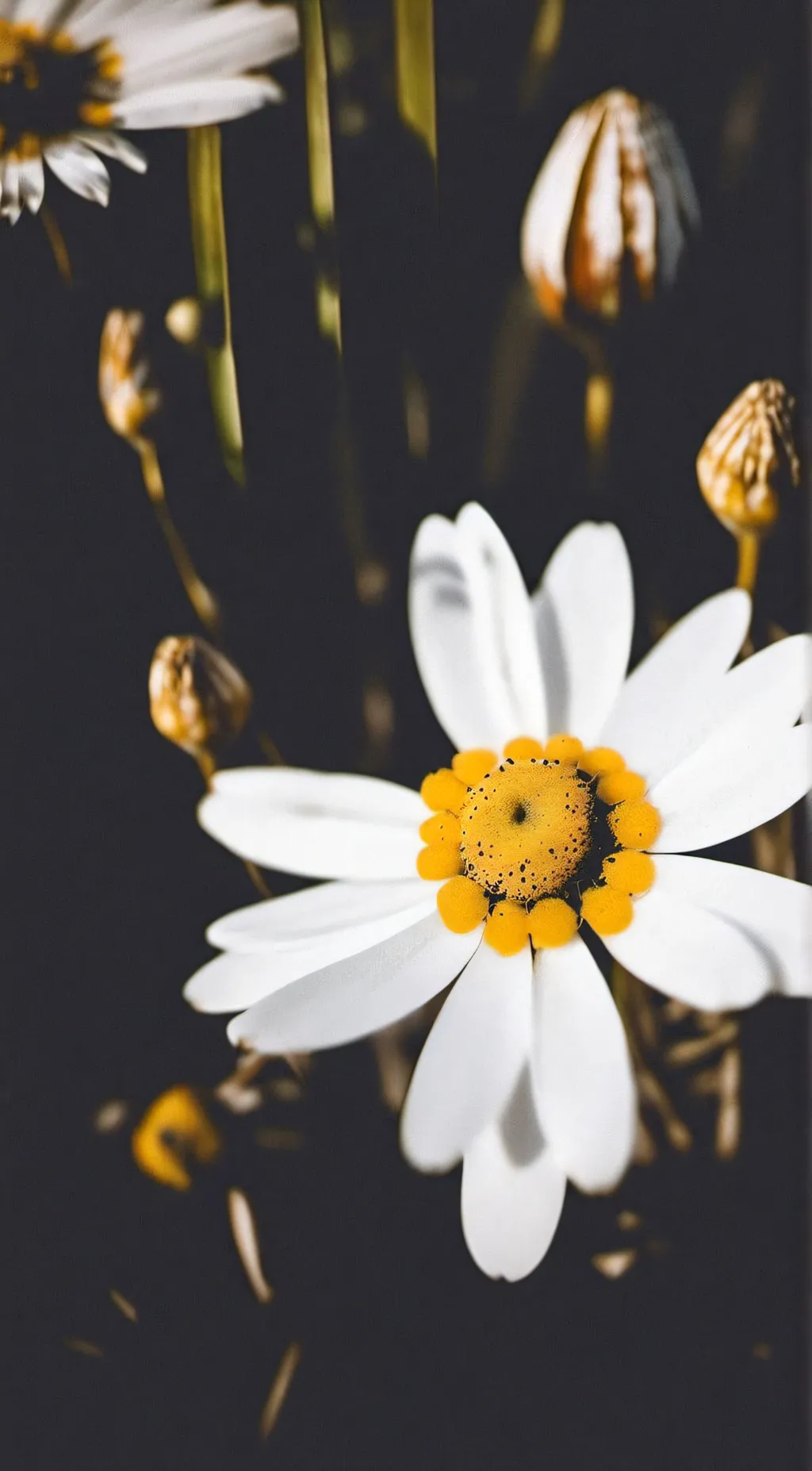 ai character: Ariel  background