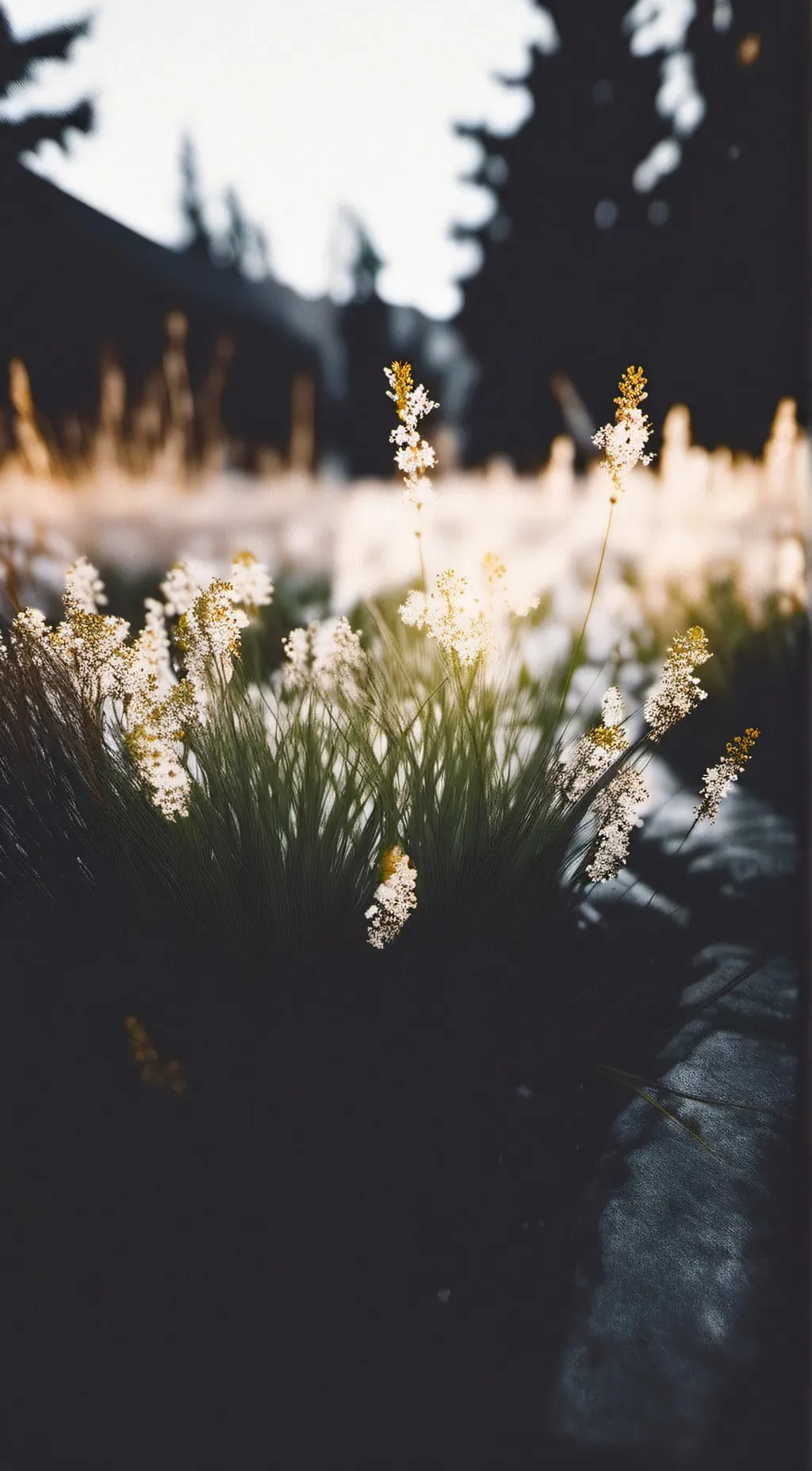 Talkie AI - Chat with Smiling critters