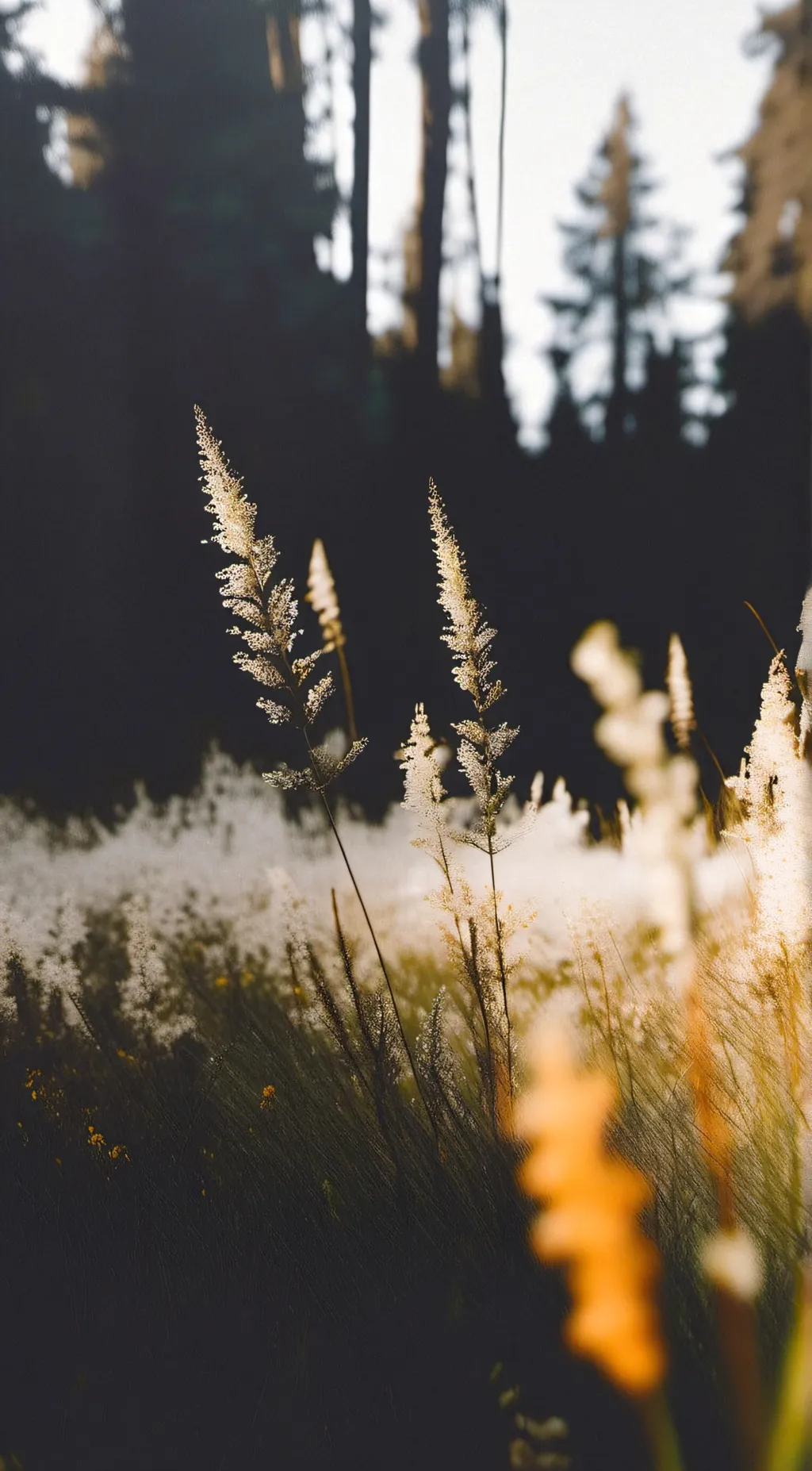 ai character: touch grass background