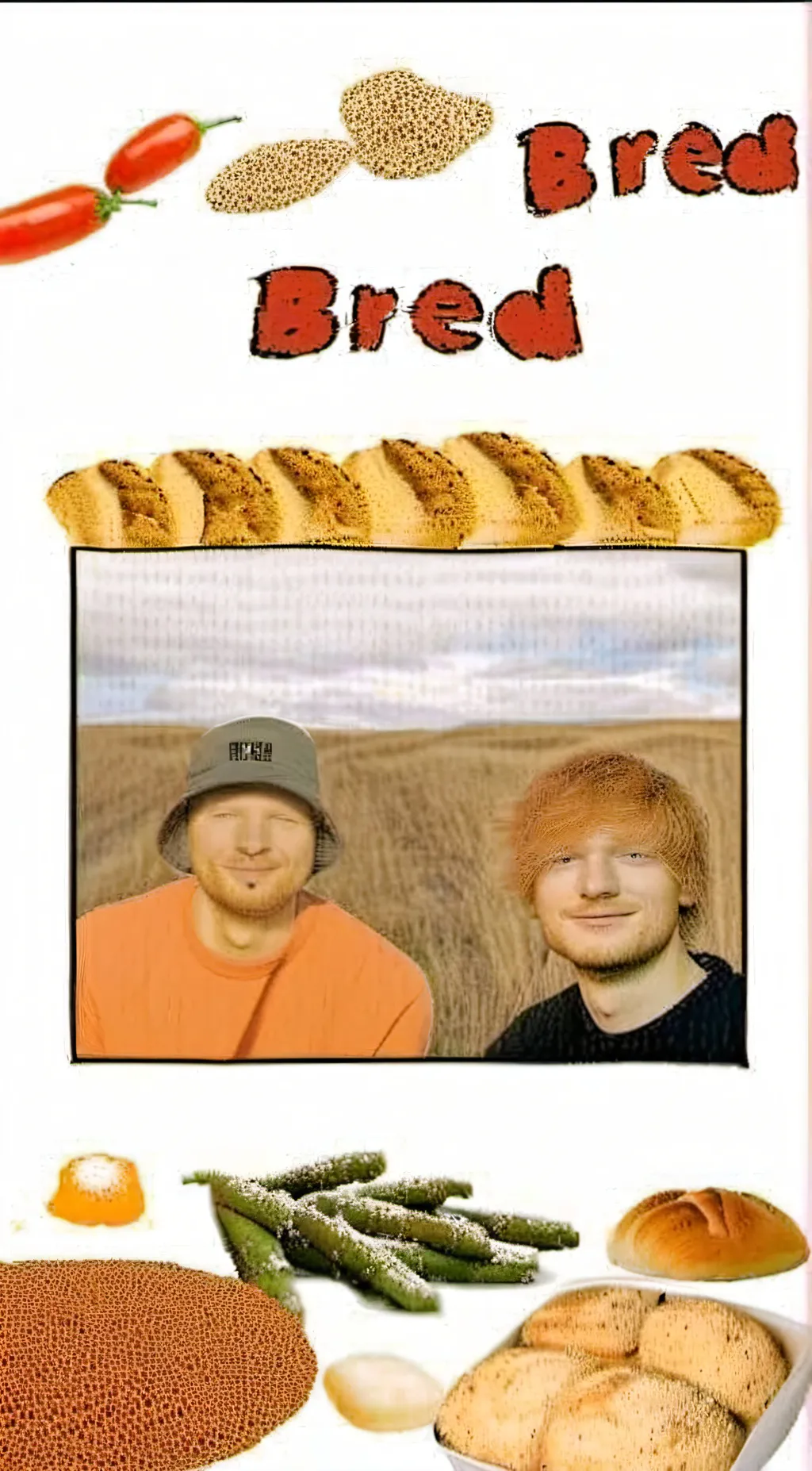 ai character: bred sheeran. background