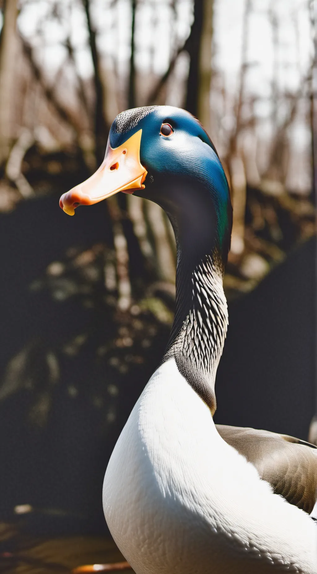 ai character: runner ducks  background