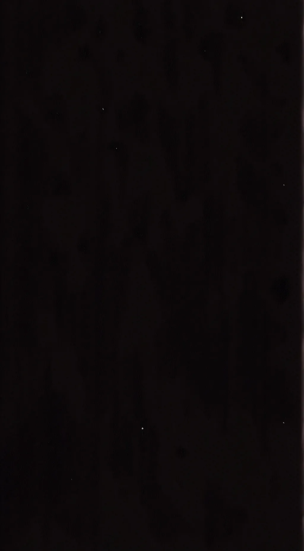 Talkie AI - Chat with Minecraft anime