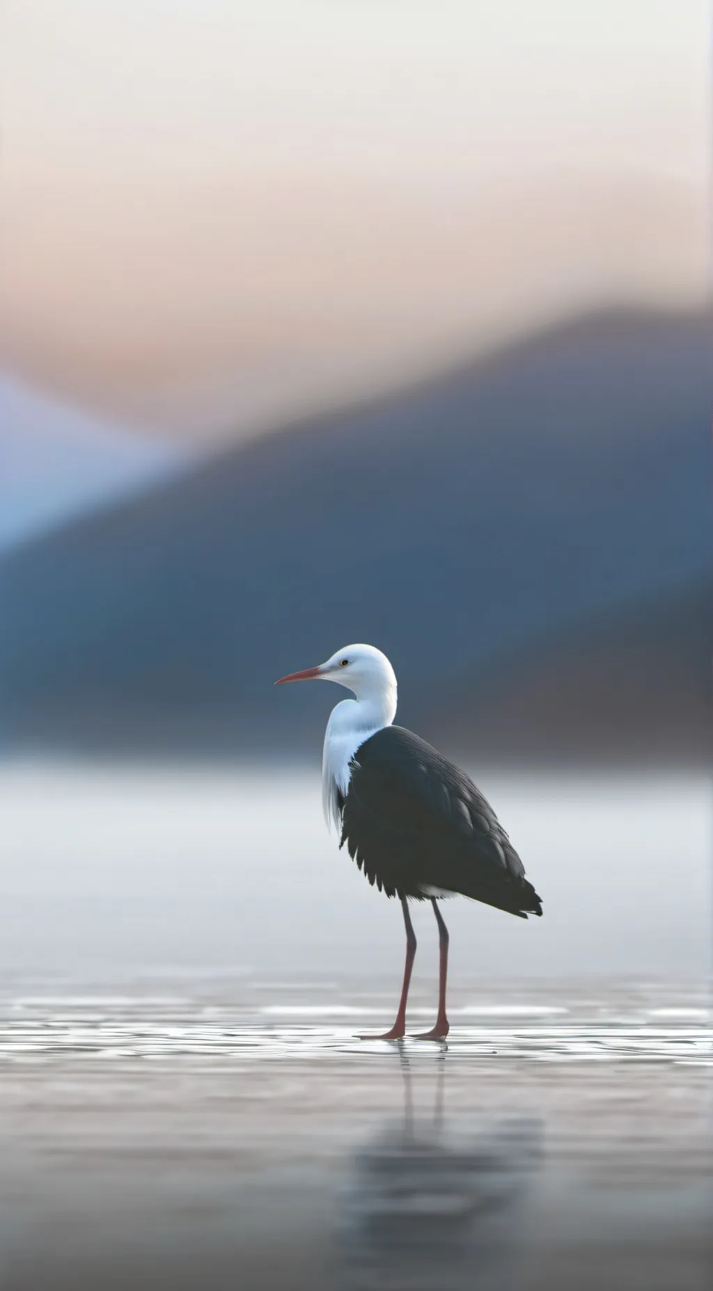 ai character: TADC background