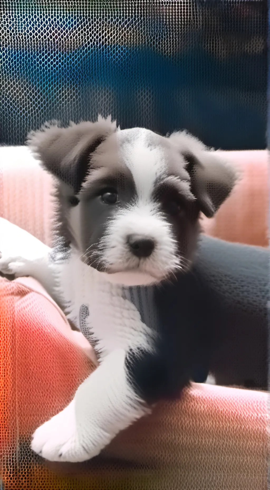 ai character: Blue's clues and 👉 background