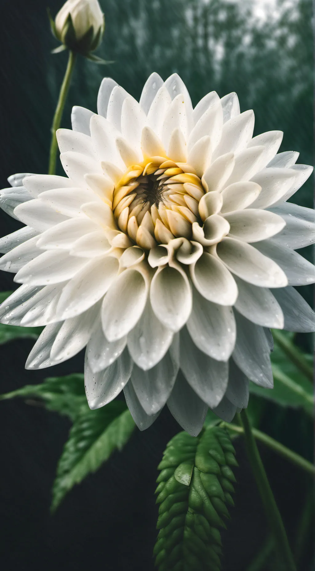 ai character: Flower background