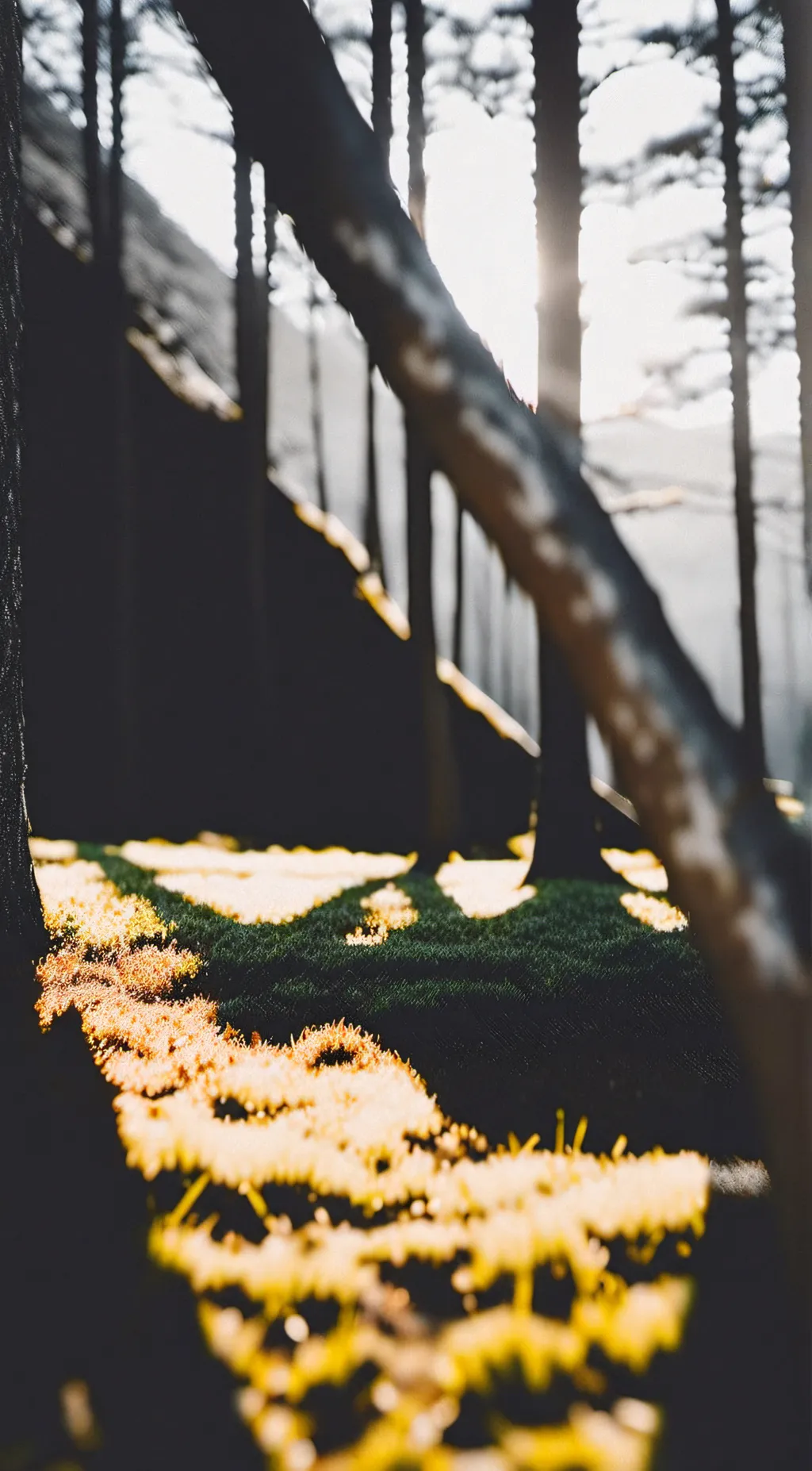 ai character: empty plot of land background