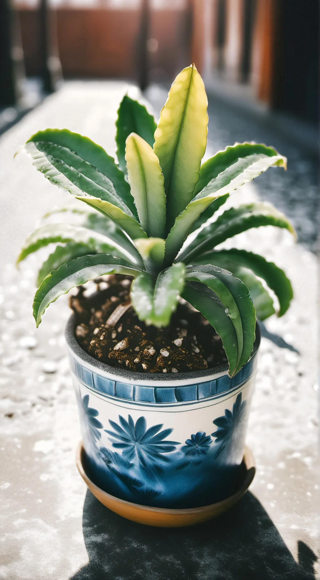 ai character: your plant background