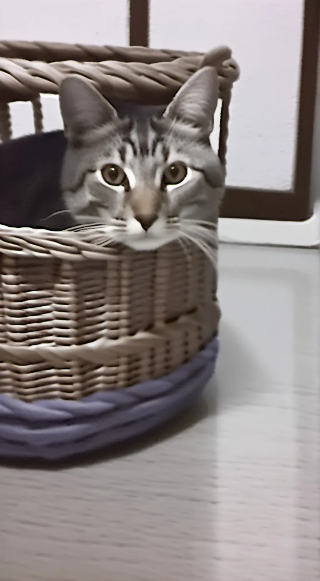 ai character: Mikey Bikey background