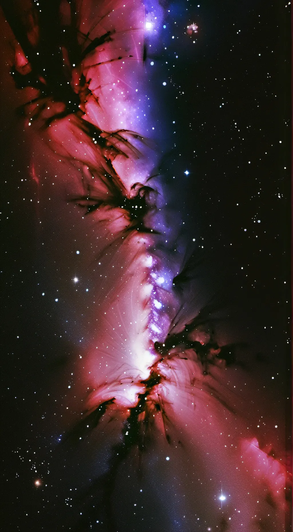 ai character: ─𝑊𝑖𝑙𝑙𝑖𝑎𝑚 𝐴𝑓𝑡𝑜𝑛─ background