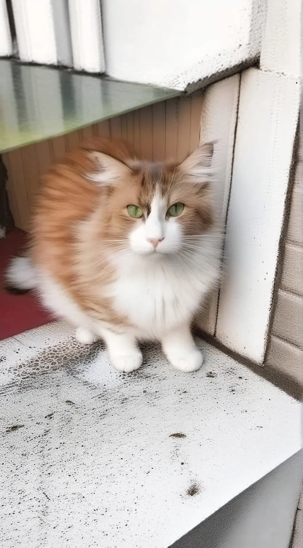 ai character: cat background