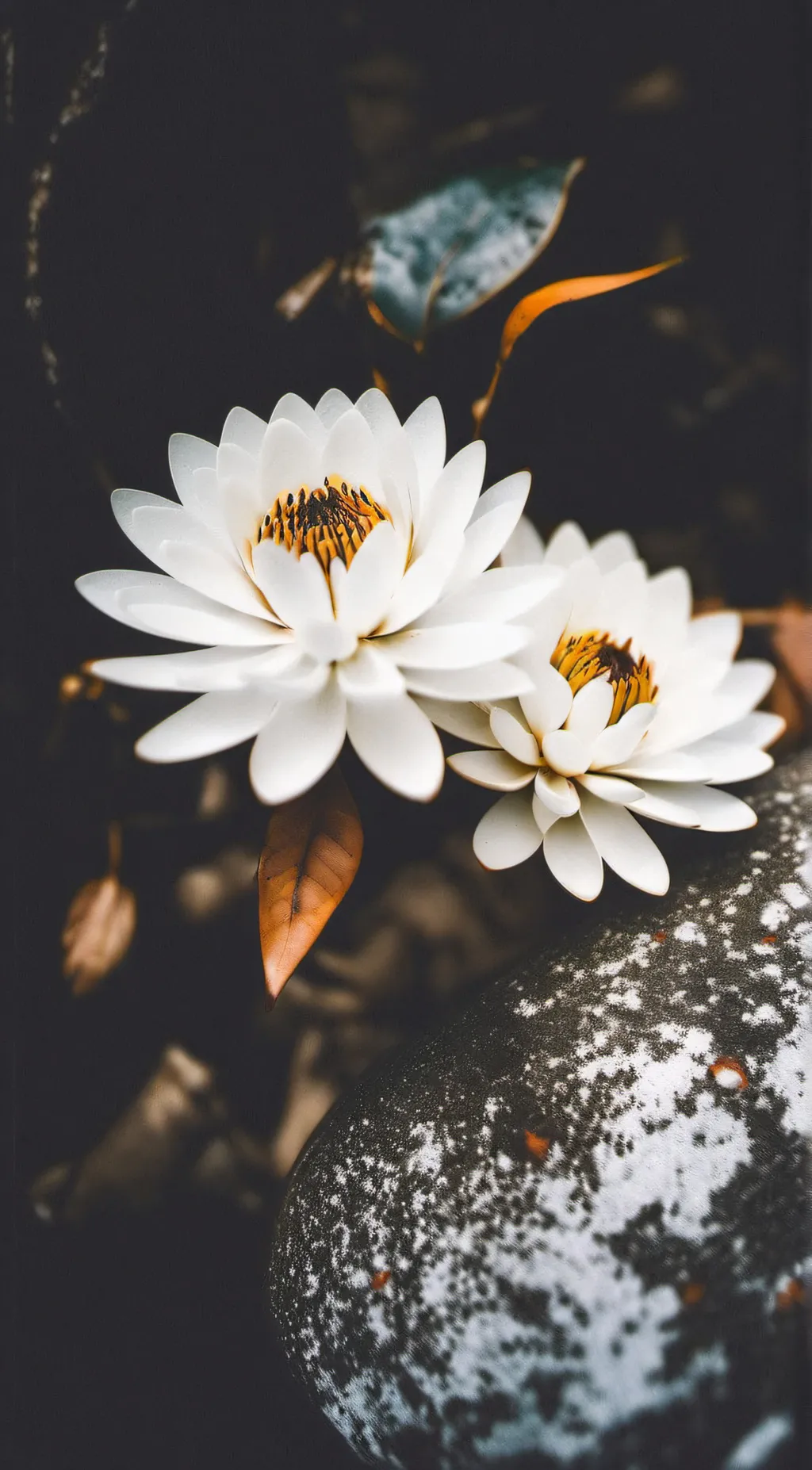 ai character: Evelyn background