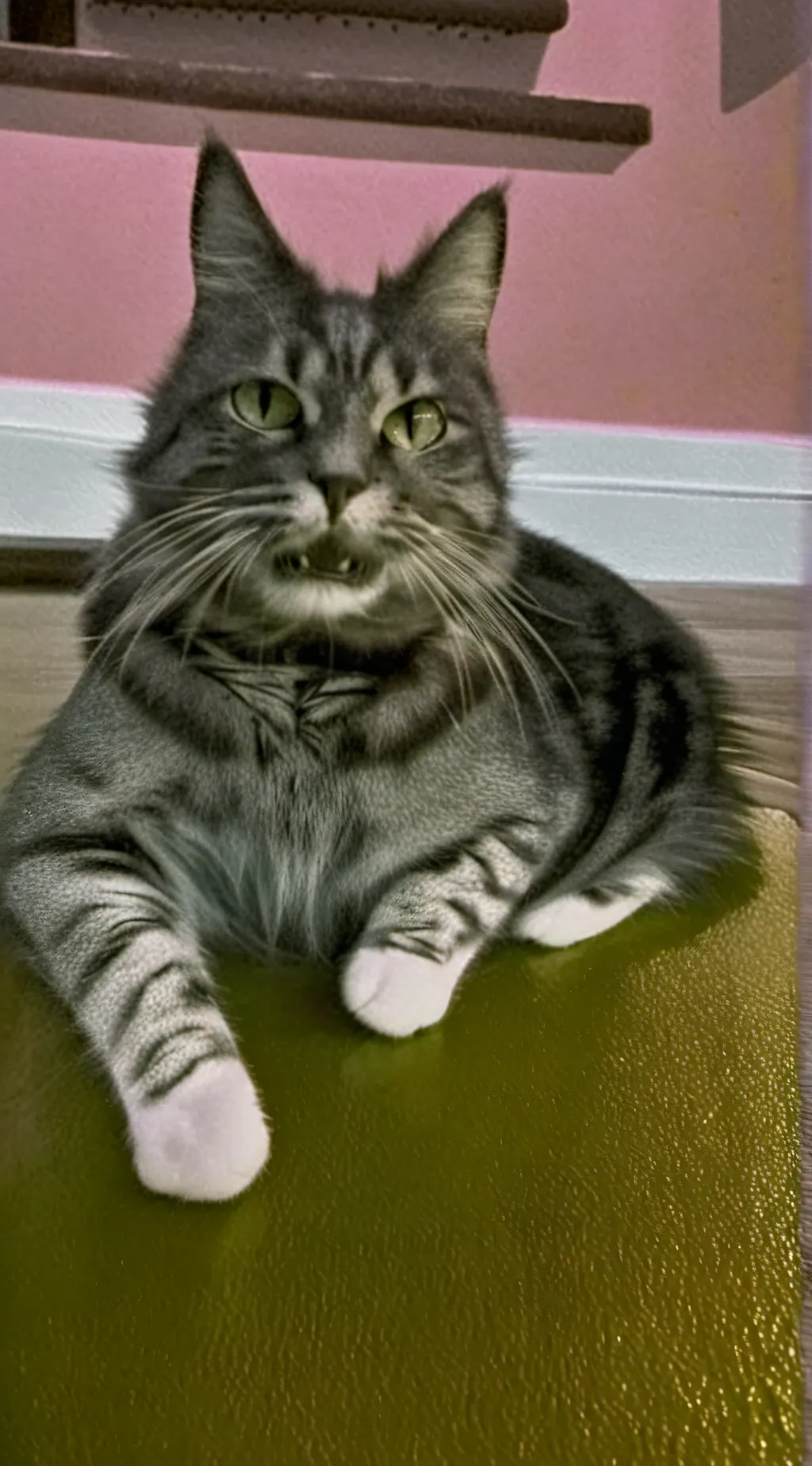 ai character: MHA FANS UNITE background