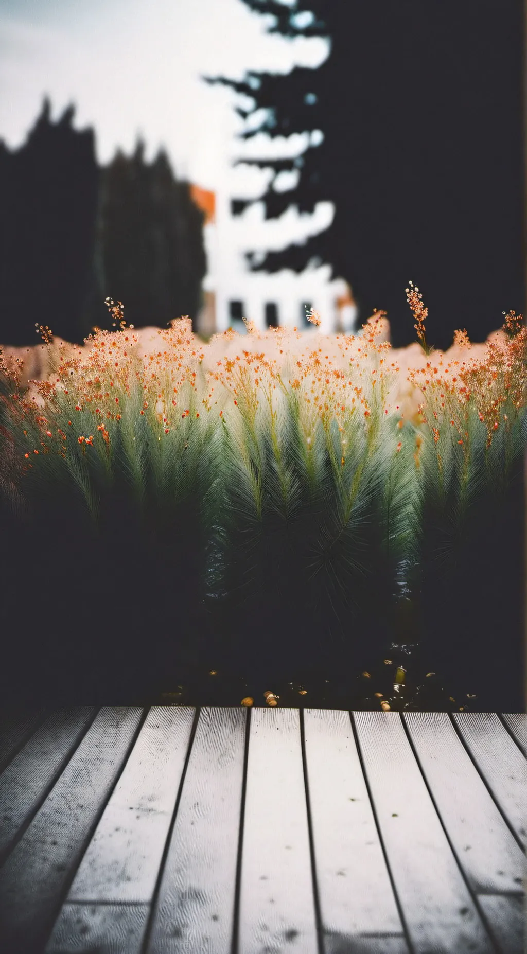 ai character: adam (human) background