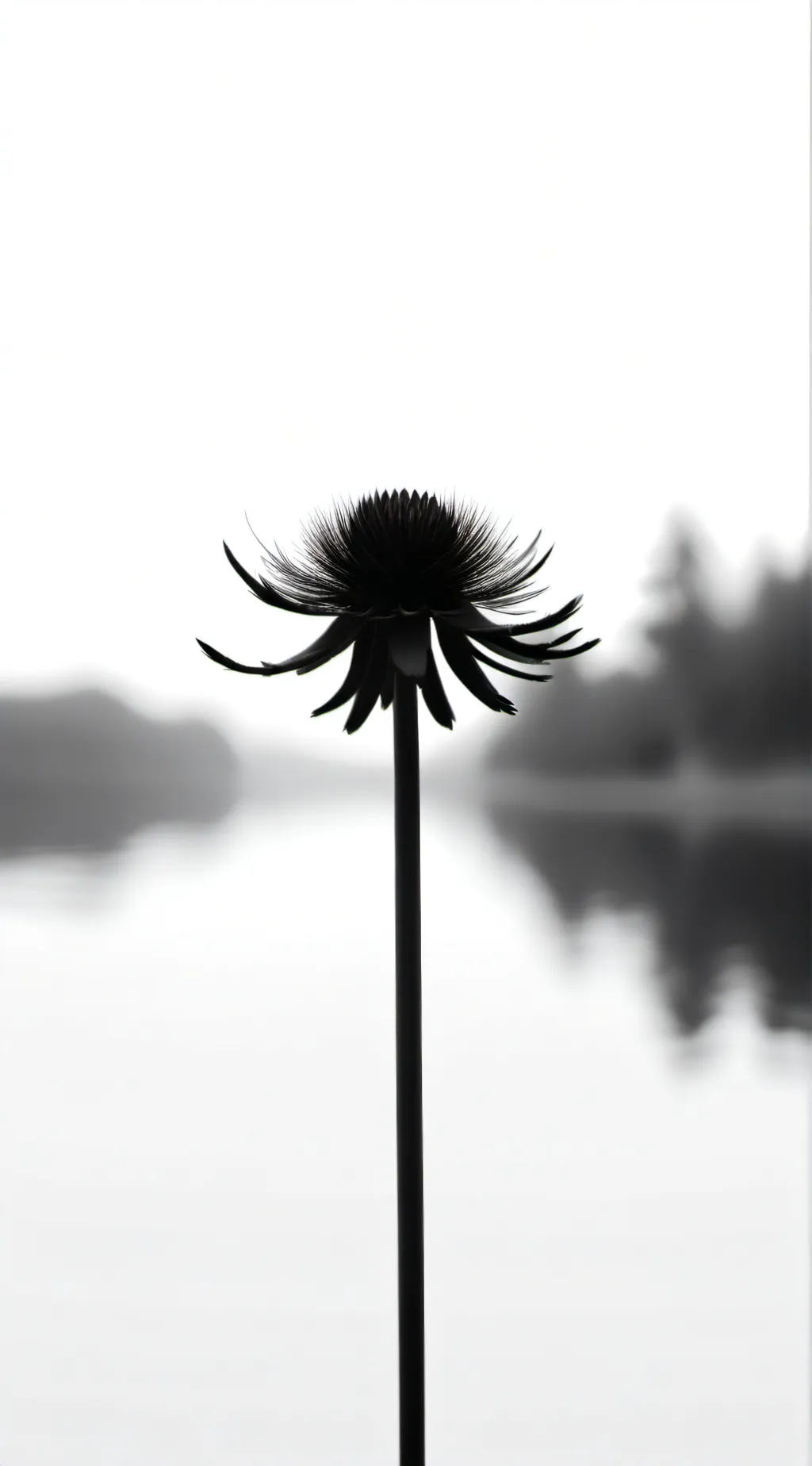 ai character: give talkie ideas  background