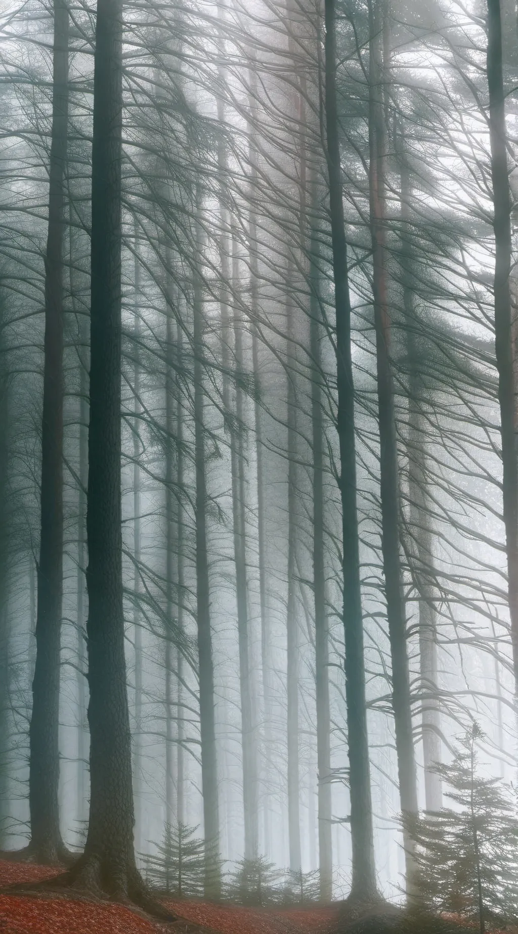 ai character: Deku.. Is mean.✩ background