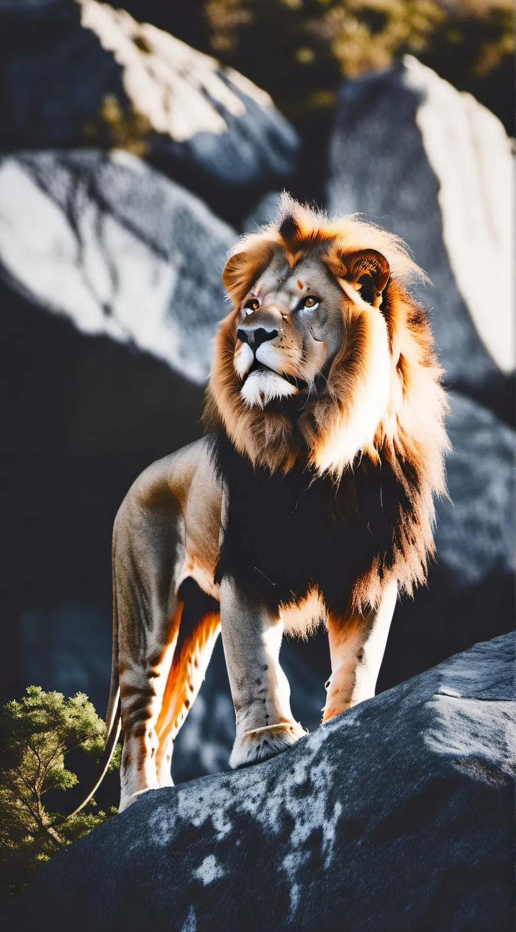 ai character: lion pride 🦁 background