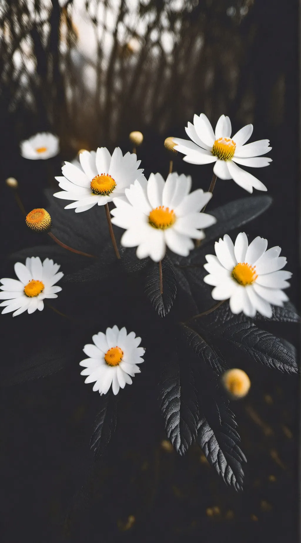 ai character: HH school ☆ background