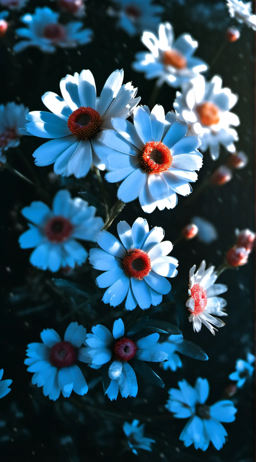 ai character: HH Christmas ☆ background