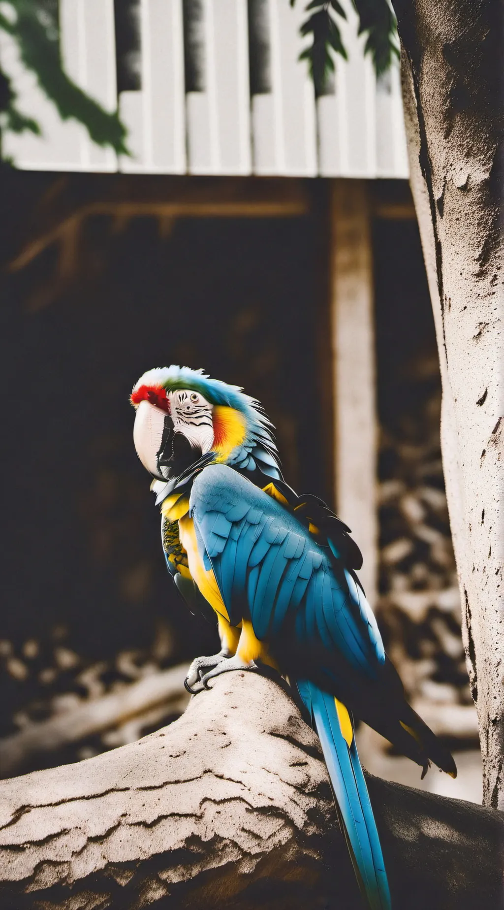 ai character: Birb background