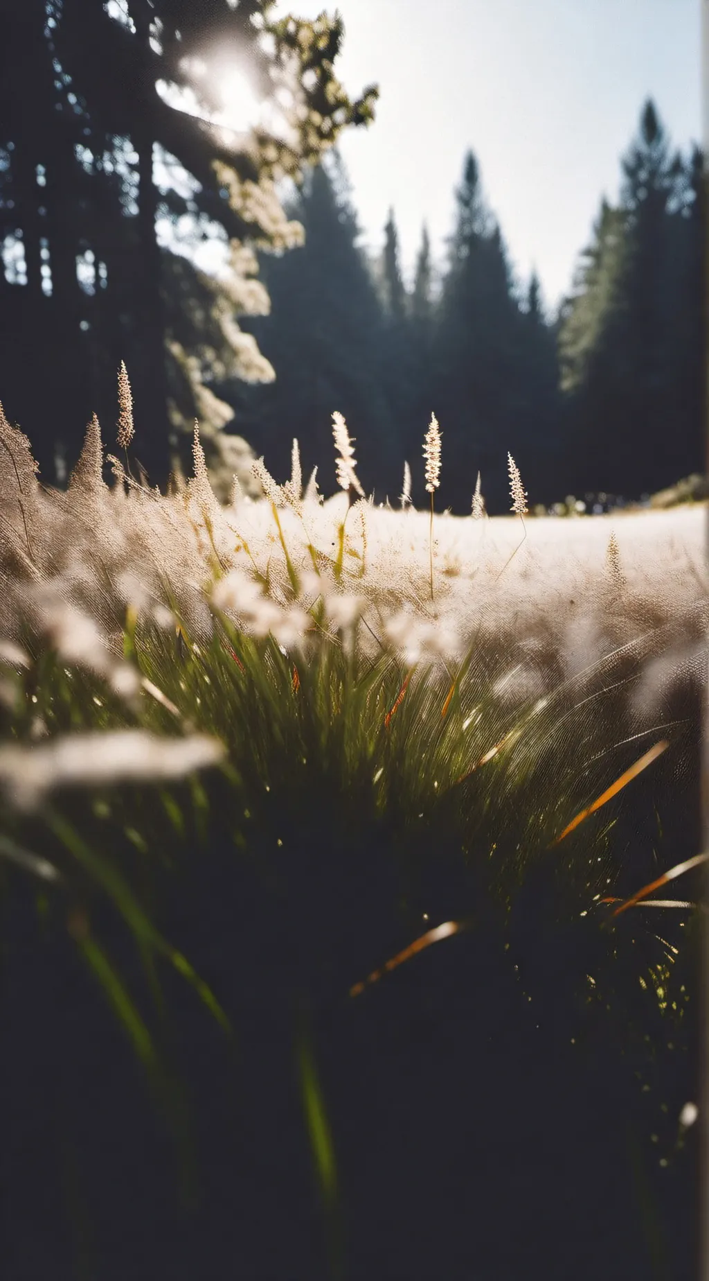 ai character: Grass background