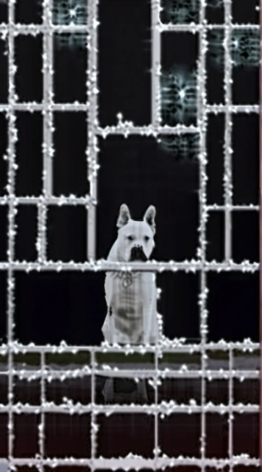 ai character: woof woof background