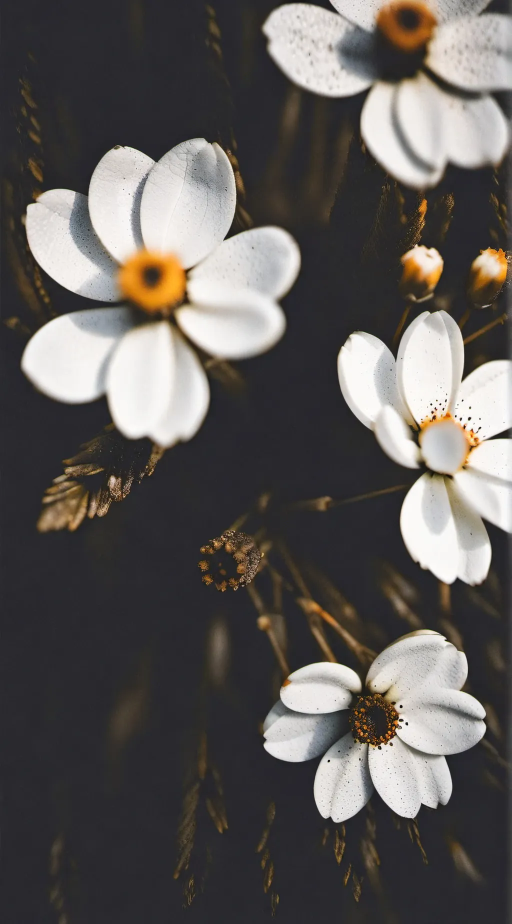 ai character: Flushy Gt  background