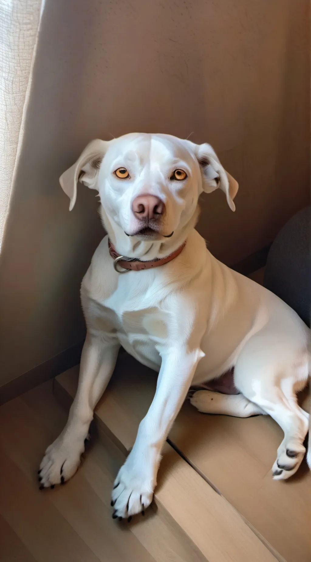 ai character: dog  background