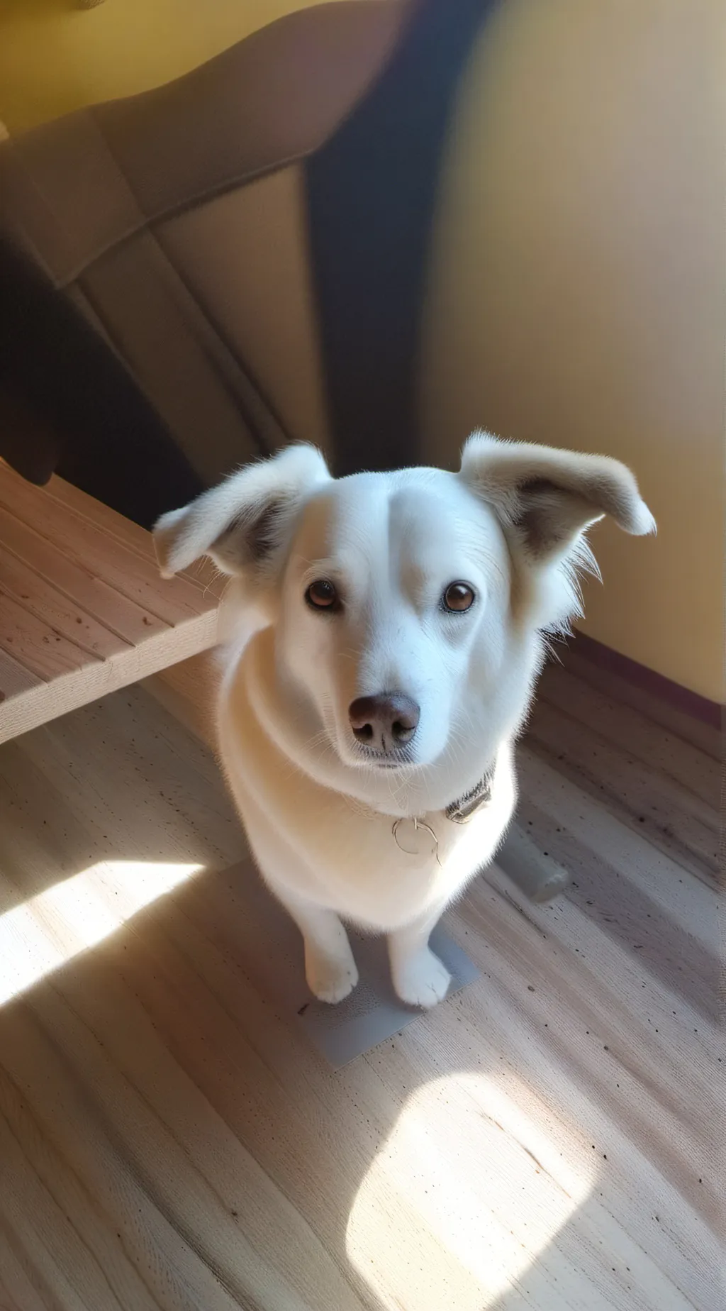 ai character: Oh I'm still alive background