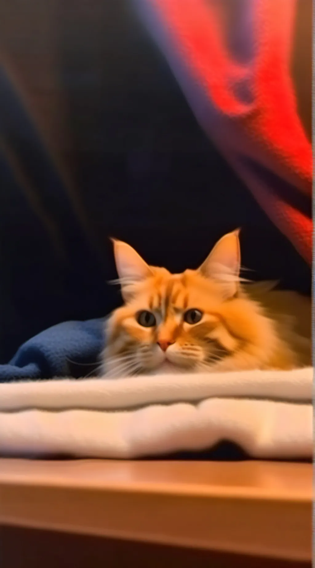 ai character: cat  background