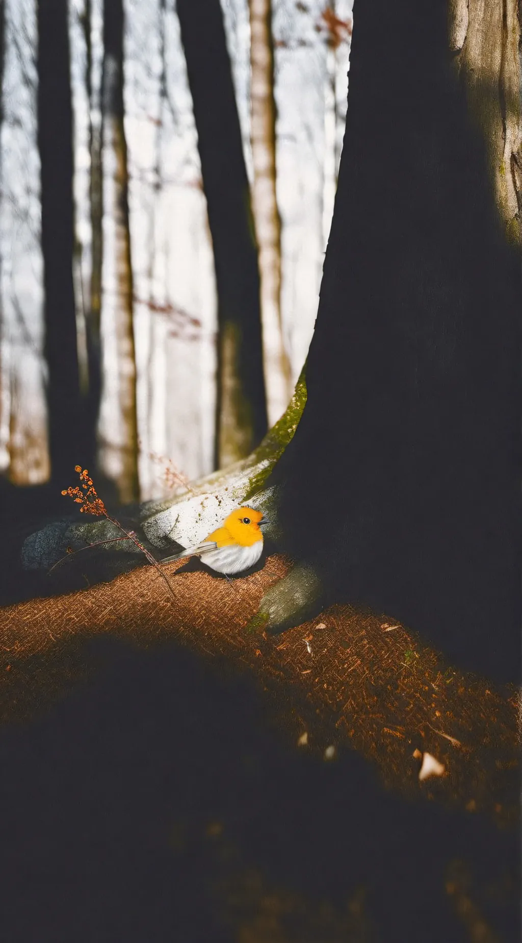 Talkie AI - Chat with CULAPCULIP!! 