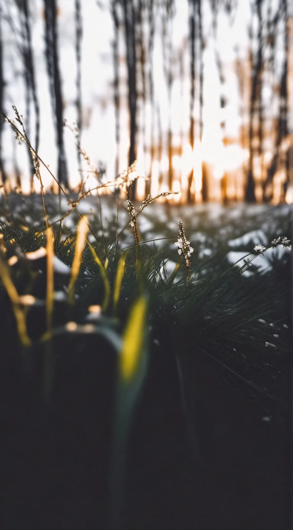 ai character: GO TOUCH GRASS 💀 background